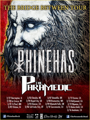 Phinehas-TheParamedic-9x12