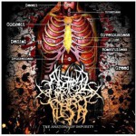 original-amof_-_the_anatomy_of_impurity_cover
