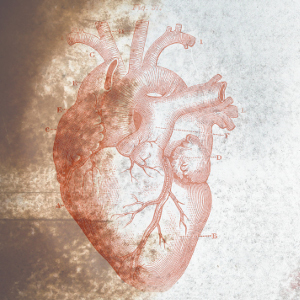 Be Reconciled (2014)