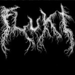 Flukt logo