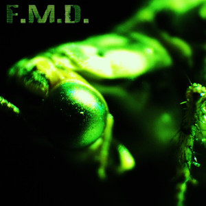 FMD