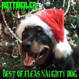 fleas naughty dog_rottweiler