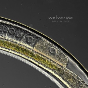 wolverinemachinacd_c0e